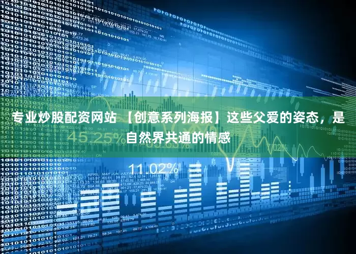 专业炒股配资网站 【创意系列海报】这些父爱的姿态，是自然界共通的情感